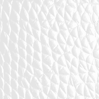 Cowhide Leather texture
